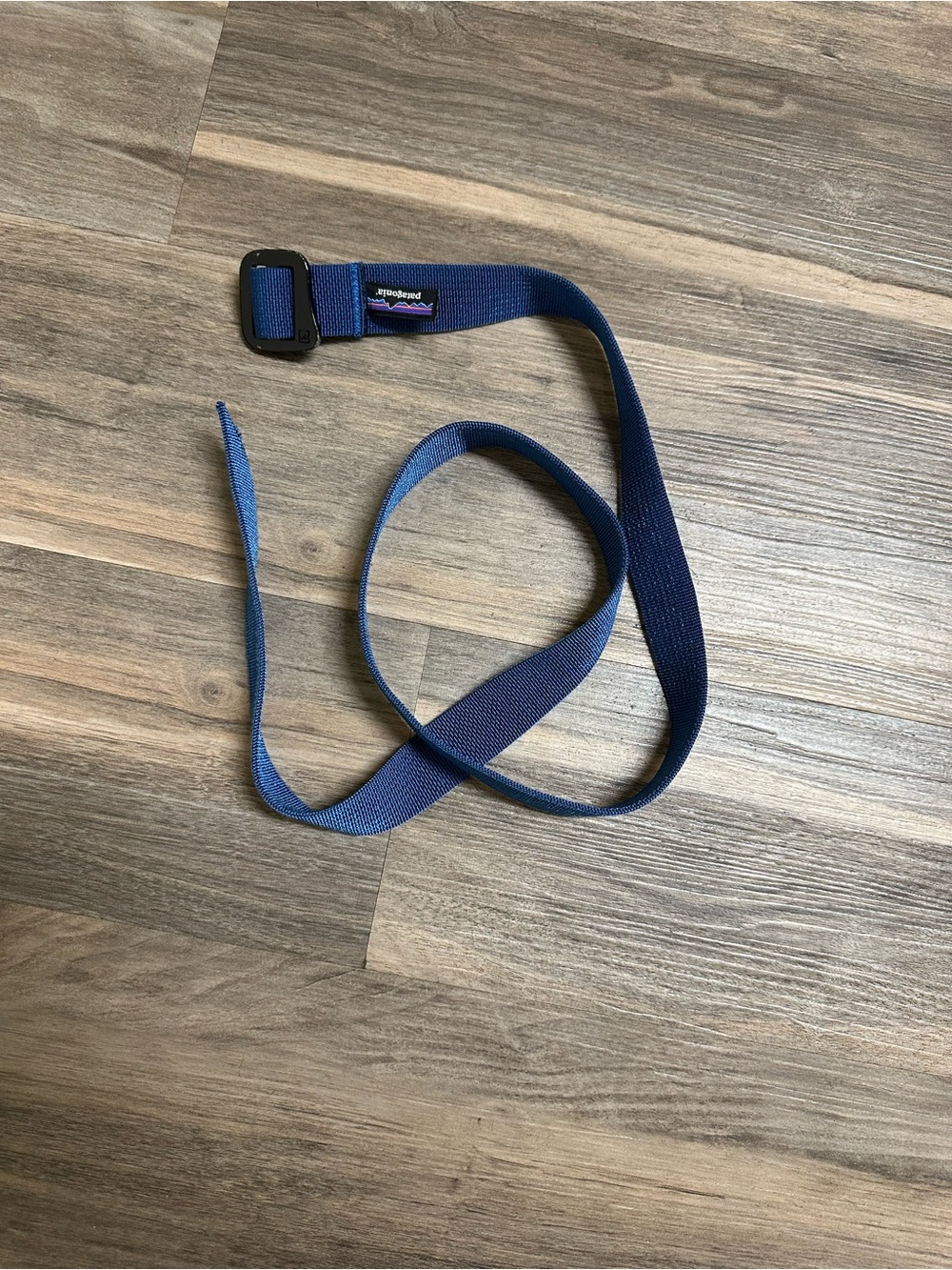 Patagonia Blue Friction Belt